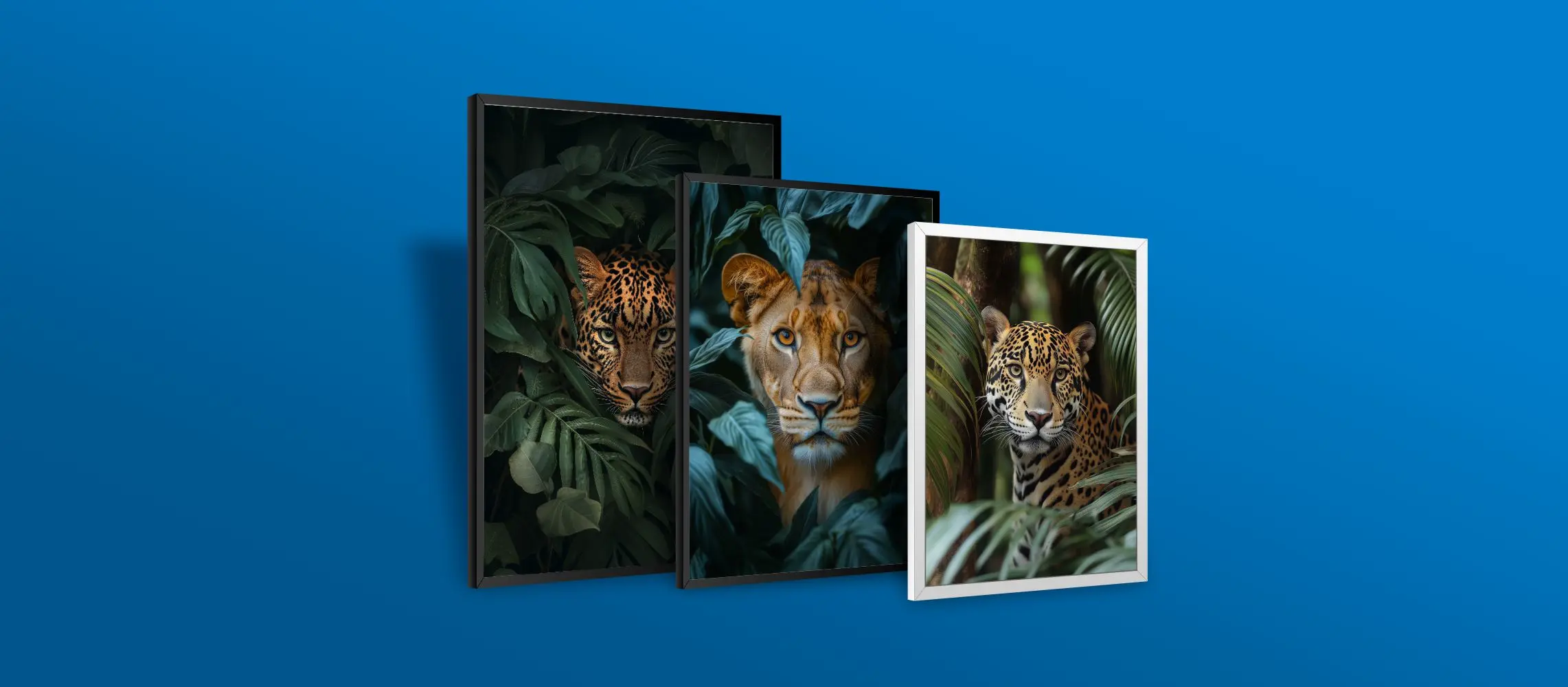 Quadros Decorativos